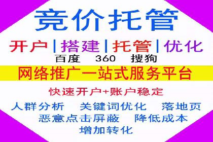 案例研究：百度竞价广告投放效果